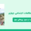 دانلود پاورپوینت مطالعات اجتماعی چهارم درس بیست و دوم - روزهای مهم