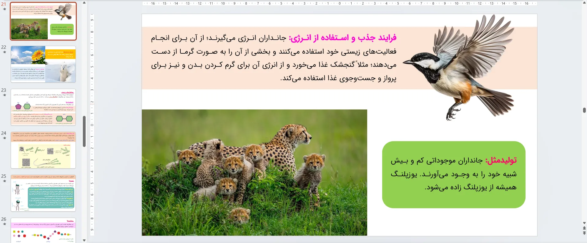 پاورپوینت زیست شناسی دهم فصل اول - دنیای زنده