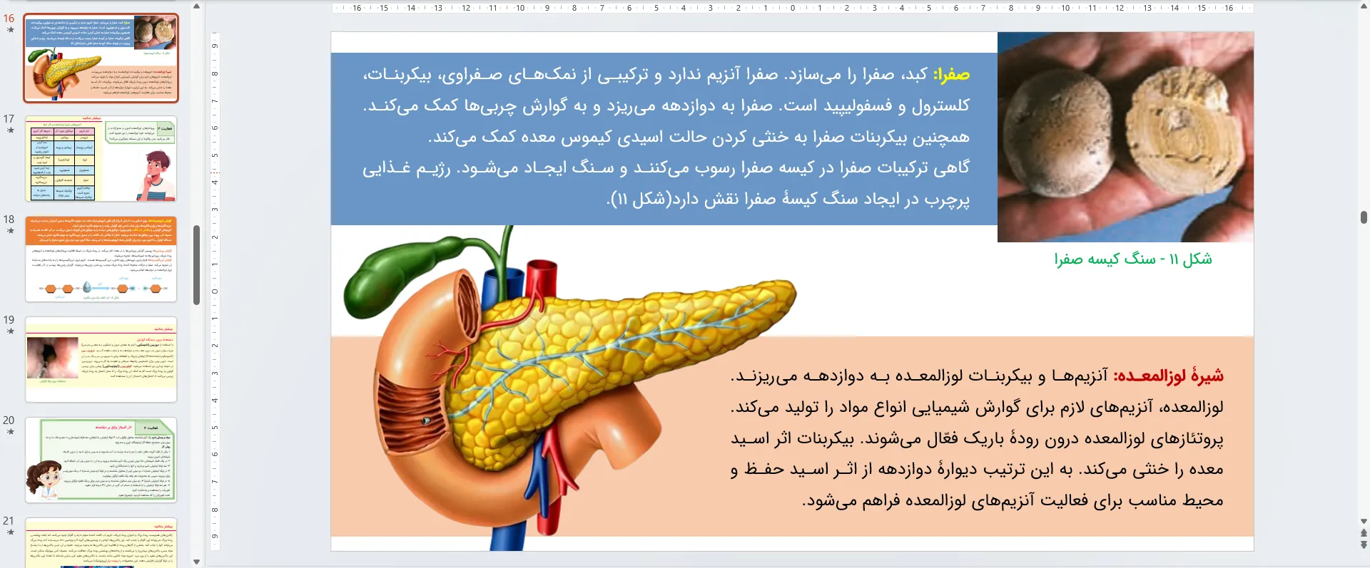 پاورپوینت زیست شناسی دهم فصل دوم - گوارش و جذب مواد