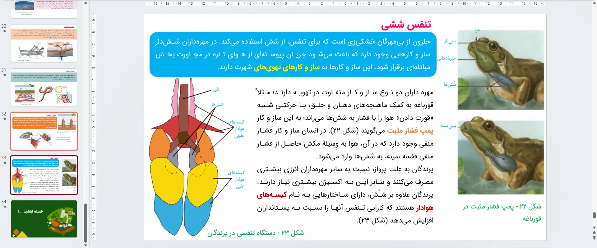 پاورپوینت زیست شناسی دهم فصل سوم - تبادلات گازی