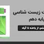 پاورپوینت زیست شناسی دهم فصل ششم - از یاخته تا گیاه
